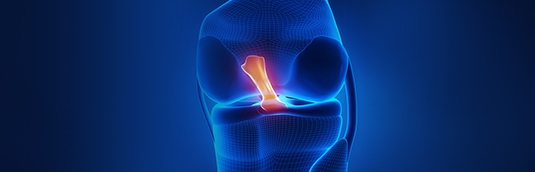 ACL and MCL Injuries in Football: Prevention and Treatment Options in Houston