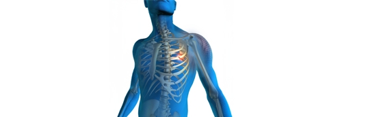 Rib Fracture After Getting Hit by a Pitch: What Jeremy Pena's Injury Can Teach Athletes
