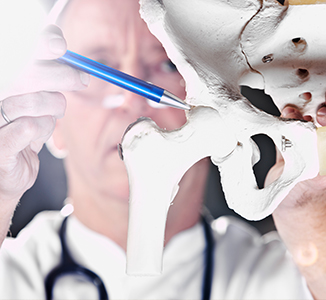 Physician Reviewing A Joint Model